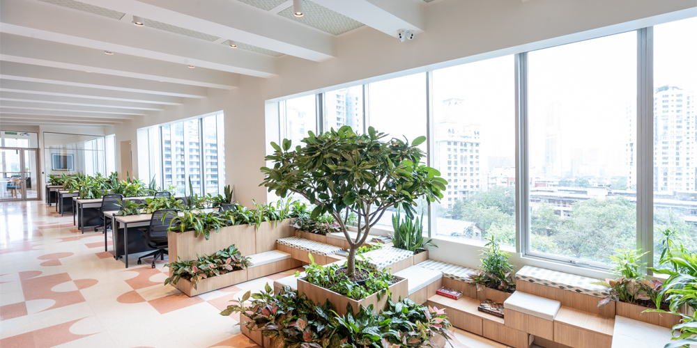 Choosing the best houseplants for your clients | Total Landscape Care
