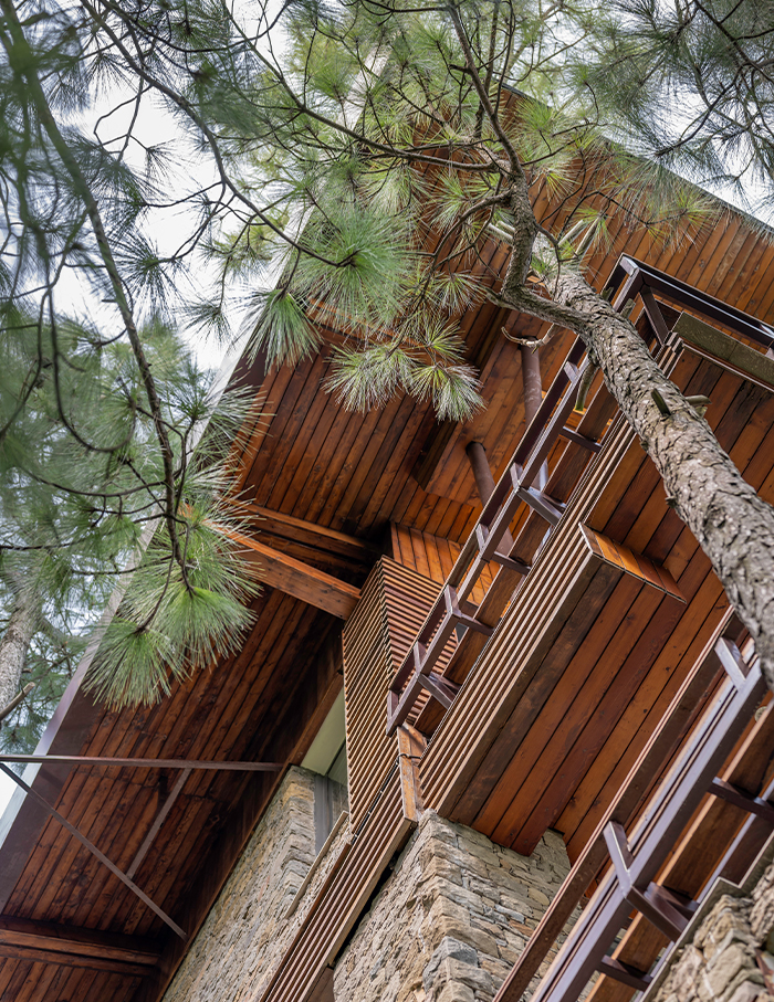 The Hermitage in Kasauli