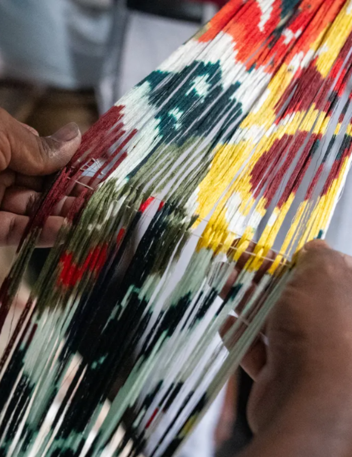 aadyam handwoven pochampally ikat