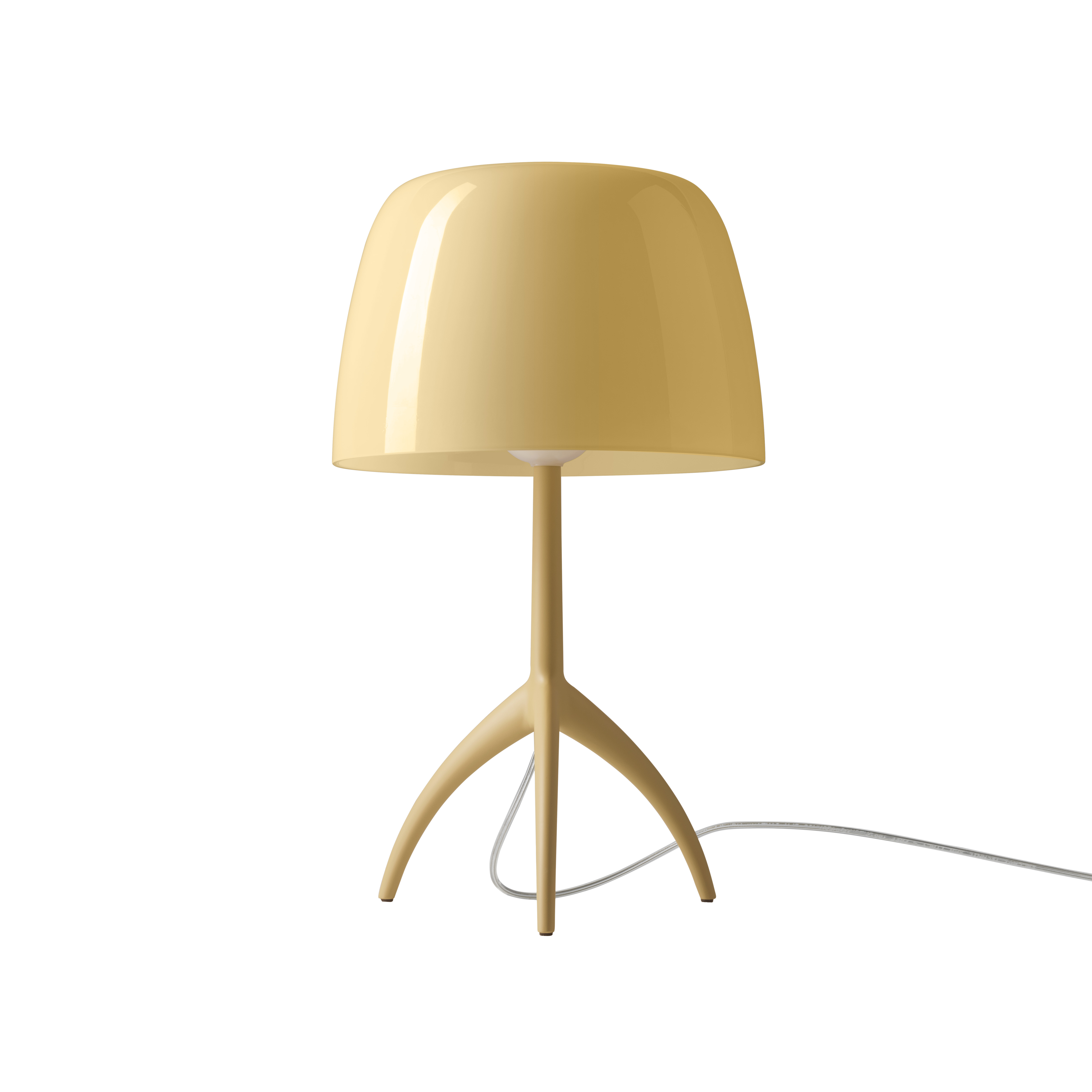 Lumiere Nuances table lamp