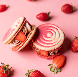 |||strawberry desserts in Mumbai and Delhi|strawberry desserts in Mumbai and Delhi|strawberry desserts in Mumbai and Delhi||strawberry desserts in Mumbai and Delhi|strawberry desserts in Mumbai and Delhi|strawberry desserts in Mumbai and Delhi|strawberry desserts in Mumbai and Delhi|strawberry desserts in Mumbai and Delhi|strawberry desserts in Mumbai and Delhi|strawberry desserts in Mumbai and Delhi|strawberry desserts in Mumbai and Delhi|strawberry desserts in Mumbai and Delhi|strawberry desserts in Mumbai and Delhi|strawberry desserts in Mumbai and Delhi|strawberry desserts in Mumbai and Delhi|strawberry desserts in Mumbai and Delhi|strawberry desserts in Mumbai and Delhi|strawberry desserts in Mumbai and Delhi|strawberry desserts in Mumbai and Delhi|