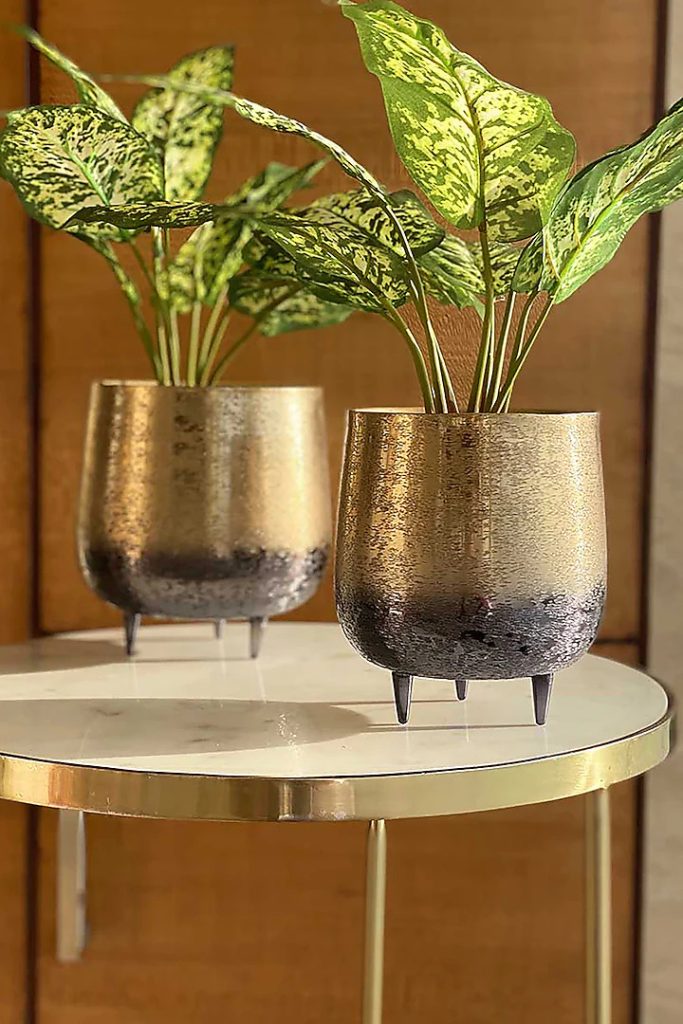 Mason Home at Pernia's Pop Up