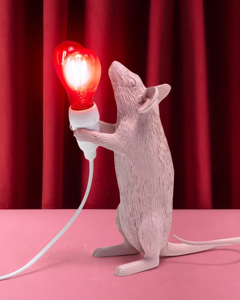 Mouse Lamp Step Love USB