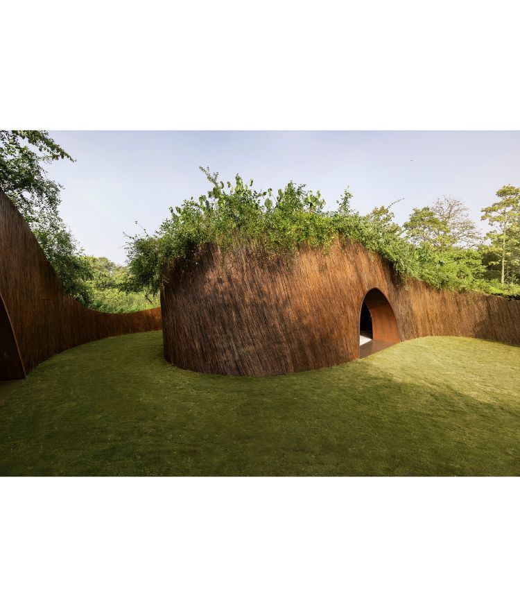 Photography by Lokesh Dang