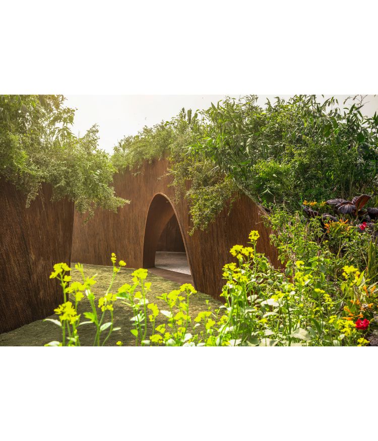 Photography by Lokesh Dang