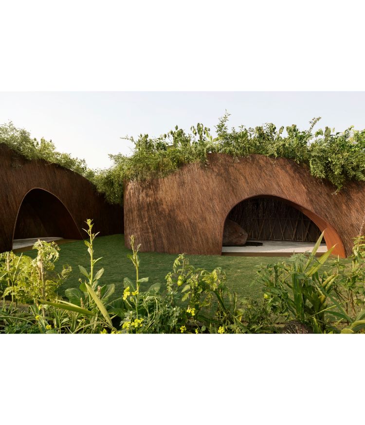 Photography by Lokesh Dang