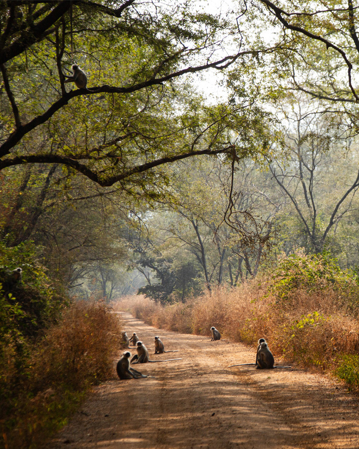 Photography by Syed Ali Husain