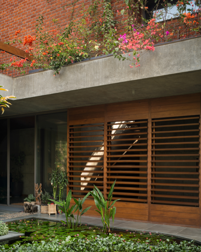 Modo Designs
