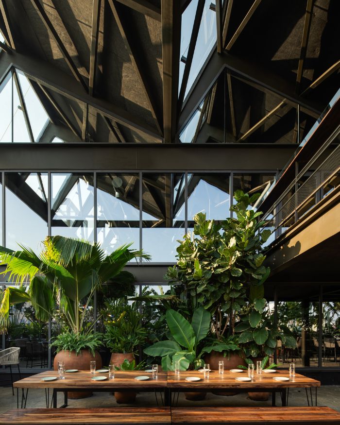 Outside seating framed by greenery