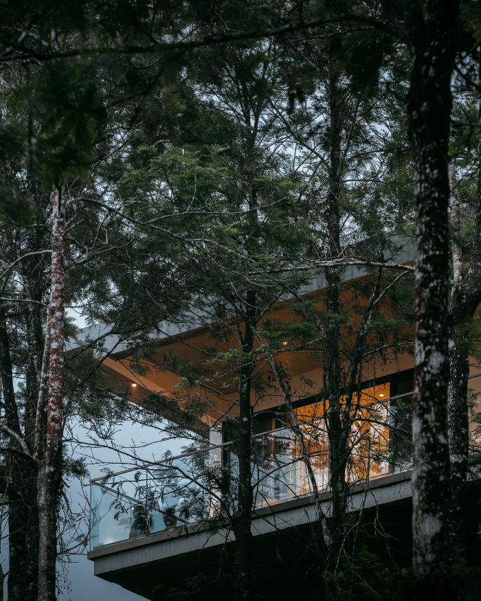 Set among the trees, the cantilevered volume opens towards the misty landscape through expansive glazing
