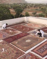 Photography courtesy of PUMA India and Jaipur Rugs
